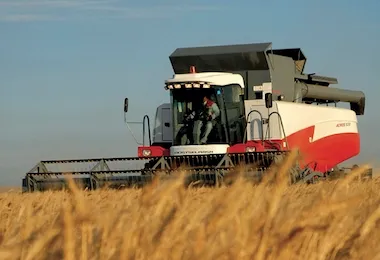 A combine harvester in a wheat field